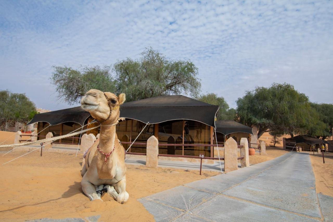 Thousand Nights Camp Hotel Shahiq Exterior photo